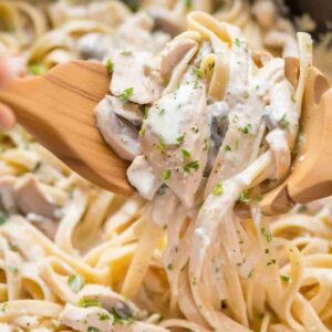 chicken fettuccine recipe